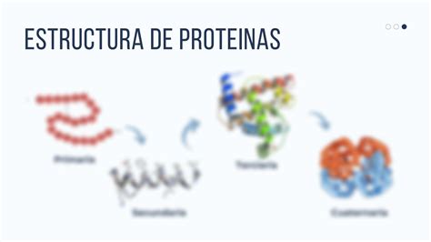 Solution Estructura De Adn Y Arn Studypool