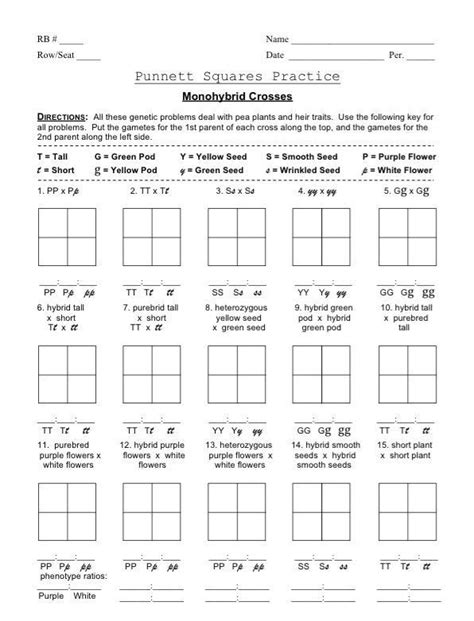 genetics punnett square practice worksheet