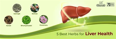 5 Best Herbs For Liver Health Charak