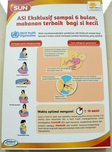 Poster Cara Menyusui Yang Benar Penggambar