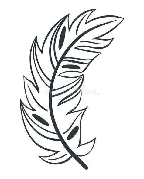 Curved Beautiful Bird Feather Vector Illustration Stock Vector