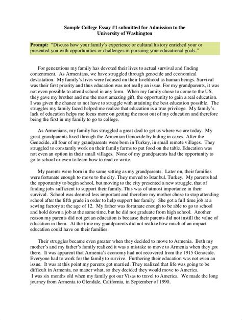 College Application Essay Examples Pdf Bestletters Co