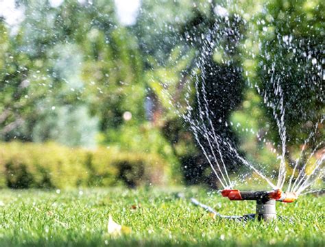A Complete Guide For Watering Lawns All Turf Solutions