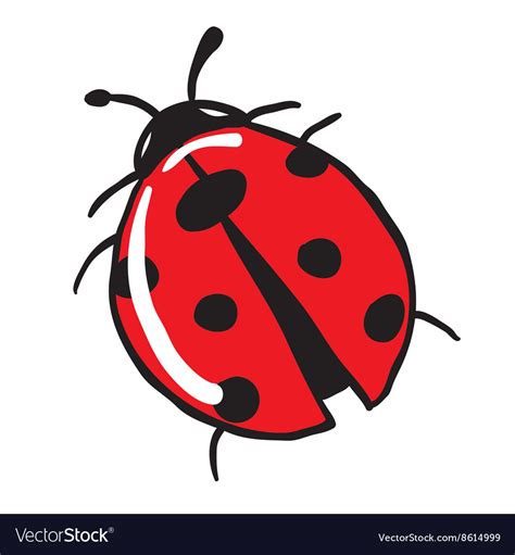 Ladybug Royalty Free Vector Image Vectorstock