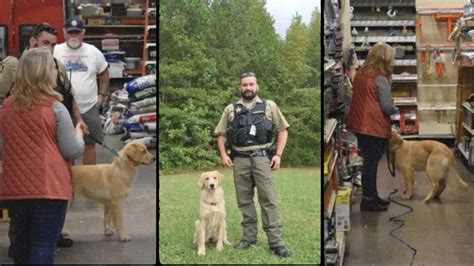 Rowan Co. Sheriff’s Office welcomes first therapy dog to K-9 force