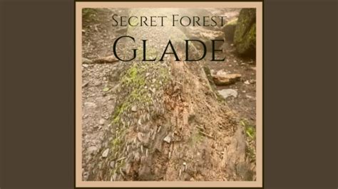 Secret Forest Glade Youtube