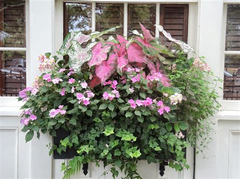Choosing the best perennials and annuals for containers. Gilded Mint: Taking a Stroll: Window Boxes | Window box ...