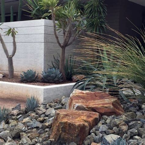 How do you install desert landscaping? Top 70 Best Desert Landscaping Ideas - Drought Tolerant Plants