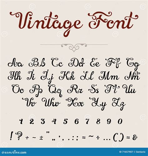 Elegant Calligraphic Script Font Typeface Letters Numbers Stock