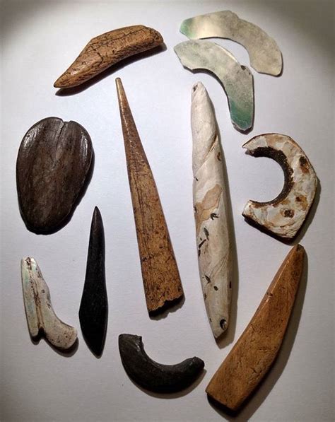 California Bone And Shell Artifacts American Indian Art Indian Art