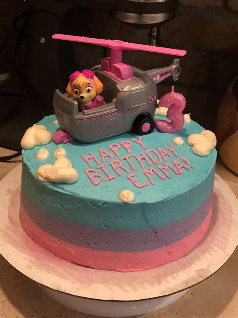 Skye Paw Patrol Birthday Cake Ivmine