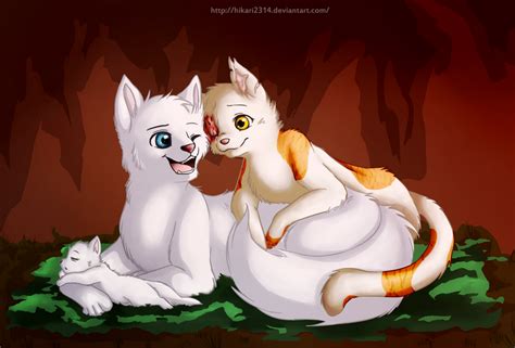 Brightheart And Cloudtail The Cutest Couple Ever Cta Hikari2314 On Da