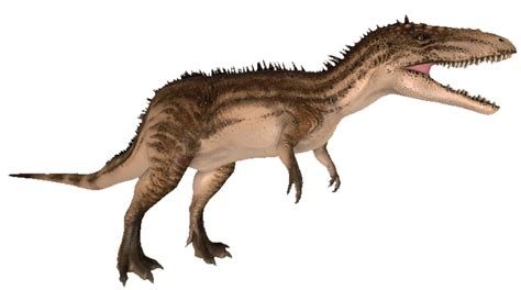 Carcharodontosaurus Standing By Transparentjiggly64 On Deviantart