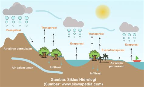 Proses Dan Macam Macam Siklus Daur Air Siswapedia Photos Sexiz Pix