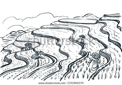14 Cool Banaue Rice Terraces Sketch Drawing For Pencil Drawing Ideas