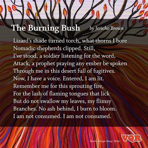 The Burning Bush By Jericho Brown Poem Poetry Poetry Poems