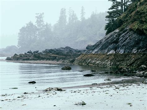 An Epic Adventure In Tofinobc And More Of Vancouver Island