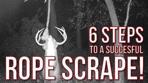 6 Steps To A Successful Rope Scrape For Whitetail Deer Youtube