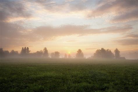 Misty Morning Sunrise At Meadow Photograph By Juhani Viitanen