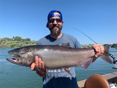 Fishing Sacramento River Salmon