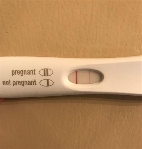 First Response Pregnancy Positive Test Results Pictures Pregnancy