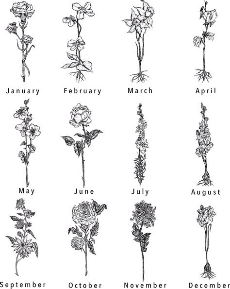 Birth Month Flower Tattoo Black And White Maude Farley