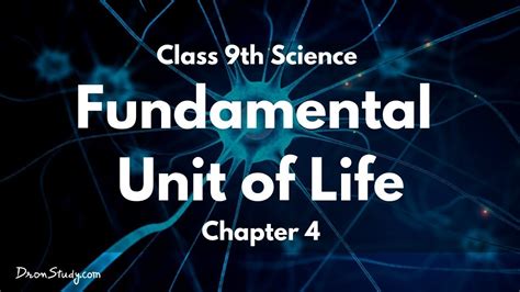 Fundamental Unit Of Life Cbse Class 9 Ix Science Toppr Study Youtube