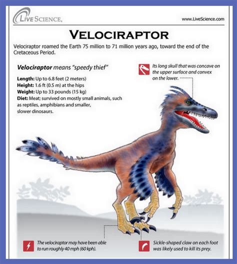 Re Train Your Brain To Happiness Velociraptor Facts About The