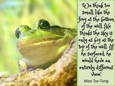 Enjoy our frogs quotes collection. When You Know that Enough is Enough