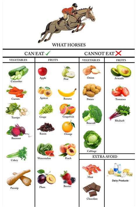 Food Horses Can And Cant Eat Healthy Horses Horse Food Horse Nutrition