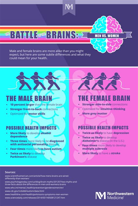 Battle Of The Brain Men Vs Women Infographic Northwestern Medicine
