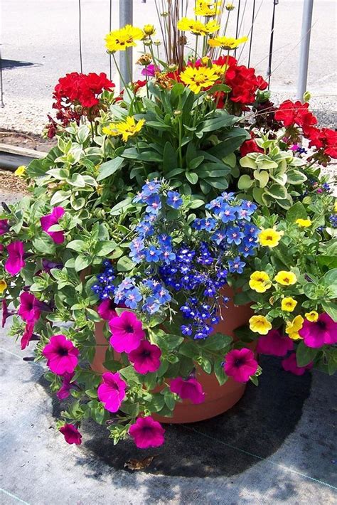 15 Most Beautiful Patio Flower Ideas You Will Love 19 Container