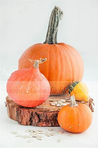 Диета с тыквенной кашей Тыквенный кекс с клюквой. - Сахаробилие Тыквенный кекс с клюквой. - Сахаробилие Диета с тыквенной кашей