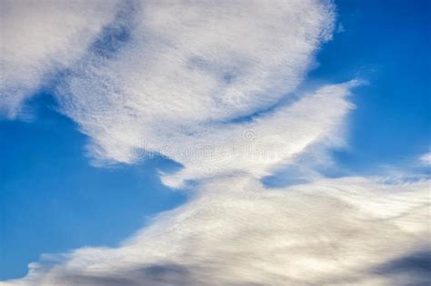 White Natural Clouds In Blue Sky Stock Photo Image Of Animal Ozone