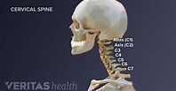 All About the C2-C5 Spinal Motion Segments