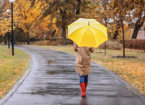 Woman With Umbrella Taking Walk In Autumn Park Stock Photo Image Of
