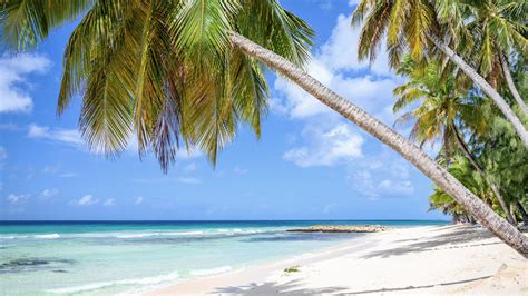 Browse and share the top beach background gifs from 2021 on gfycat. Caribbean proves to be most popular Zoom background ...