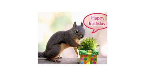 Happy Birthday Squirrel Postcard Uk