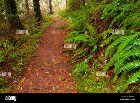 North Umpqua River National Recreation Trail North Umpqua Wild And