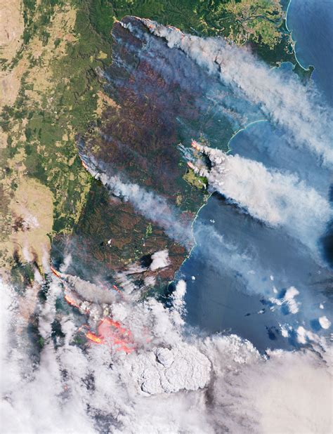 Esa Aerosols Released From Australian Bushfires Triggers Algal Blooms