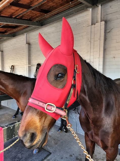 Beat City Shows His Class - Gloucester Park Harness Racing