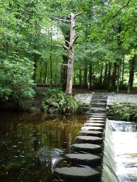 Stepping Stones In Tollymore Forest Park Codown Forest Park Ireland