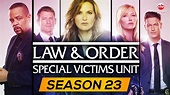 “Law and Order: Special Victims Unit” (SVU) 2021 Release Date, Season ...