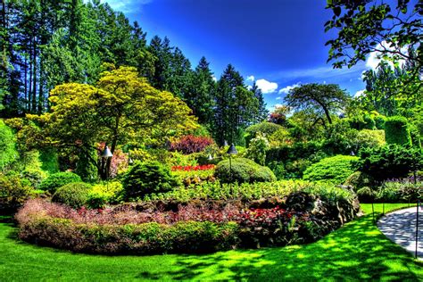 Красивый Сад Фото Всех Telegraph