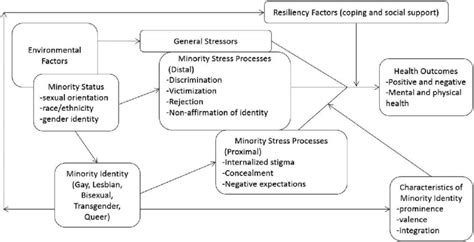 Lgbt Minority Stress Model Adapted From Meyer 2013 And Testa Et Al Download Scientific