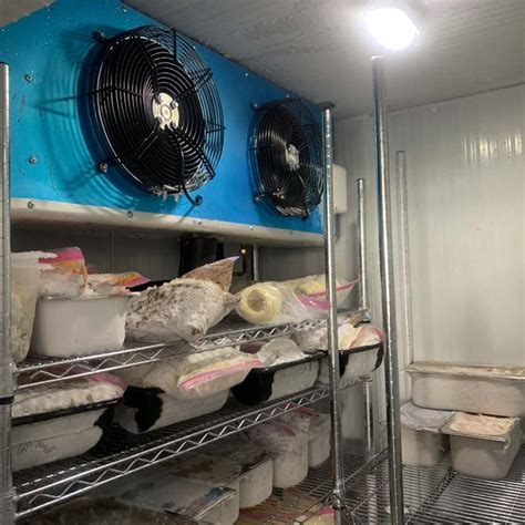 Fish Cold Room Factory Meat Cold Storage Price Freezer Cold Room