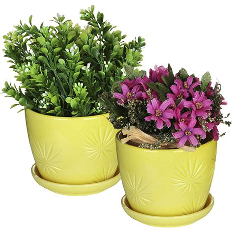 Myt Set Of 2 Yellow Sunburst Design Ceramic Flower Planter Pots With