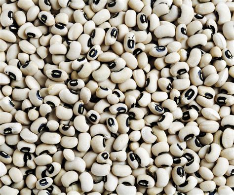 How To Grow Black Eyed Peas Discover Expert Tips