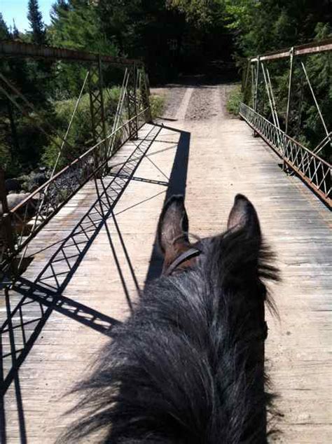 Horse Trails At Otter Creek