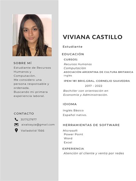 Cv Viviana Castillo Pdf
